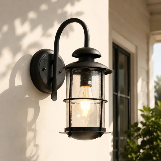 Rowan Black Clear Glass Farmhouse Outdoor Wall Lantern