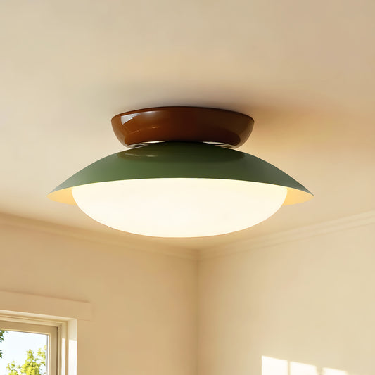Liam Modern Frosted Dome Shade Ceiling Light