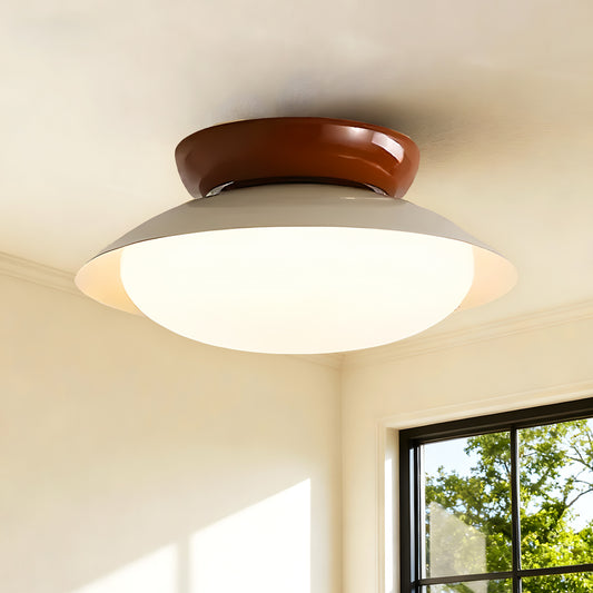 Liam Modern Frosted Dome Shade Ceiling Light