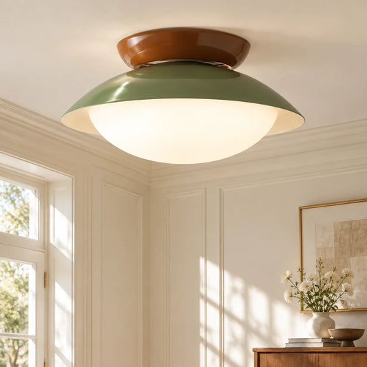 Liam Modern Frosted Dome Shade Ceiling Light