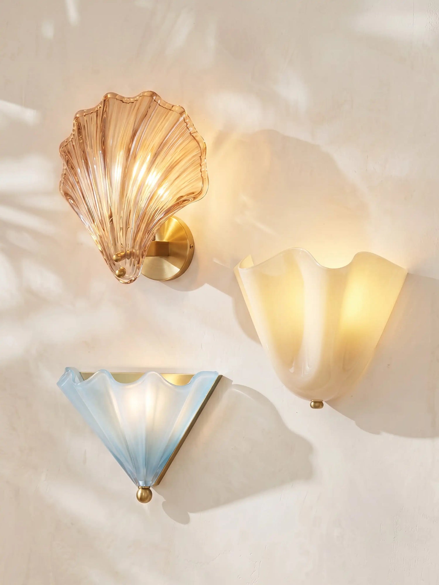 Seashell Series