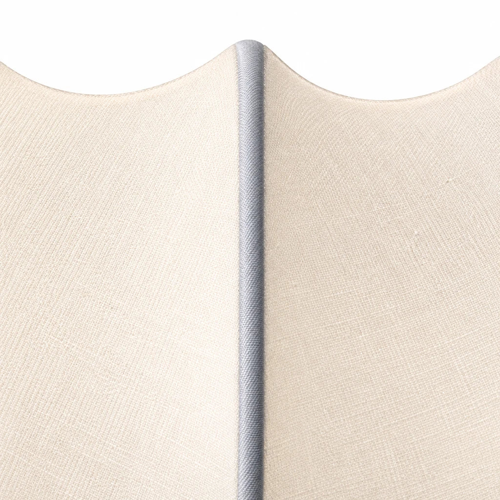 Close view of Alina white silk petals and fine dark radial ribs