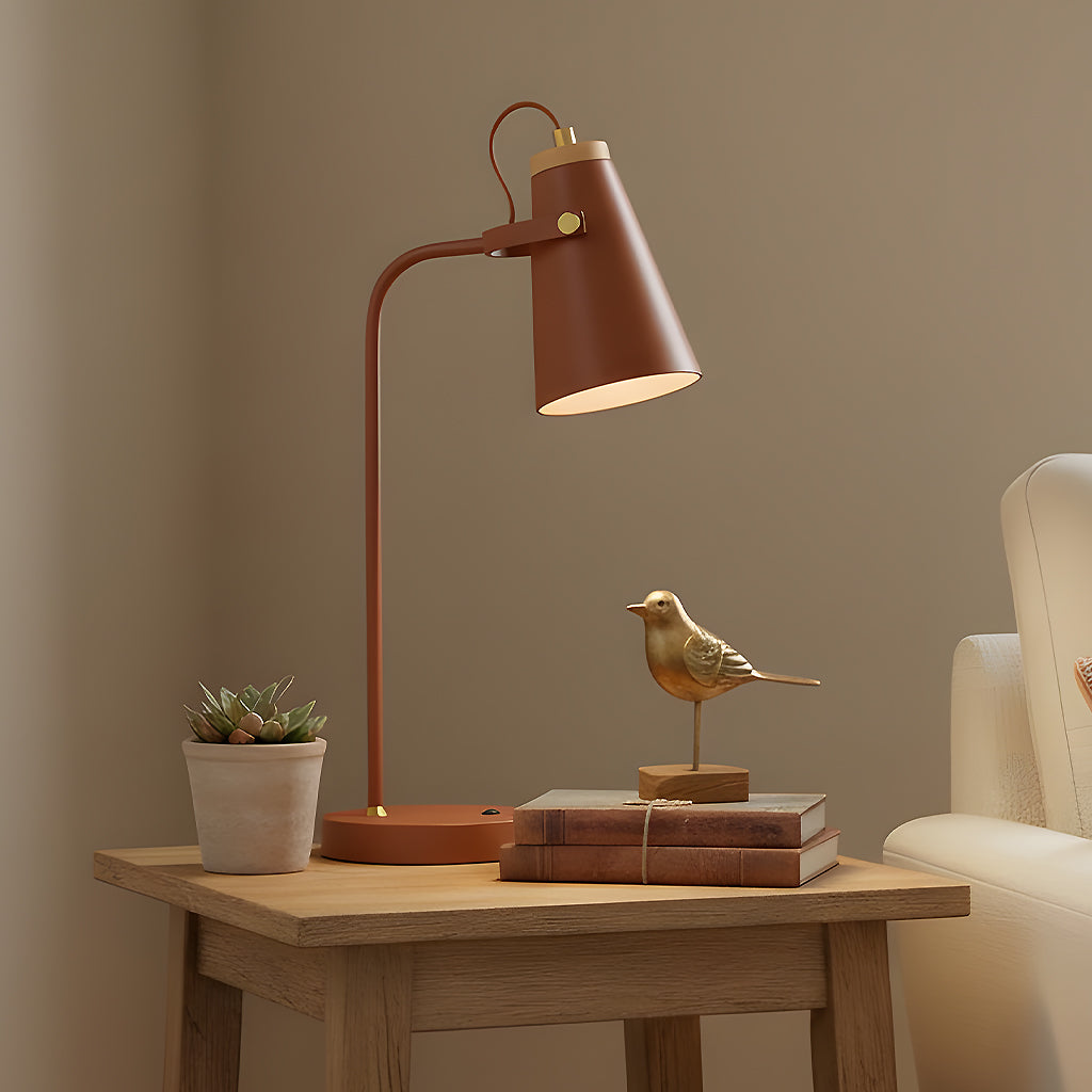 Modern Industrial Adjustable Desk Task Light | Lucia Living