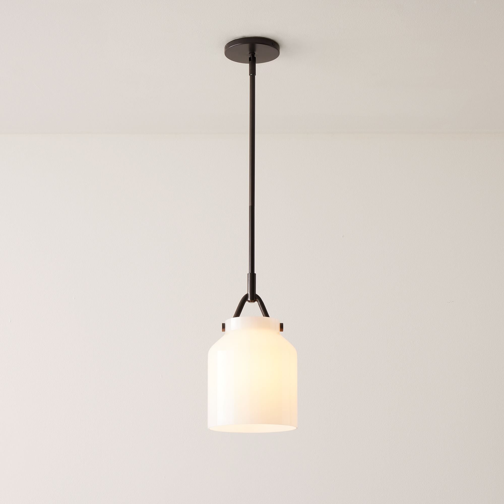 Nerys Nordic Minimalist Morandi Matte Metal Pendant Light