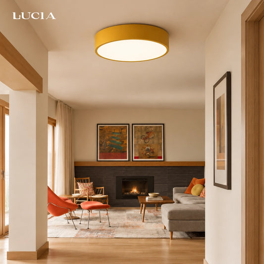 Osvik Modern Minimalist LED Metal Round Ceiling Light