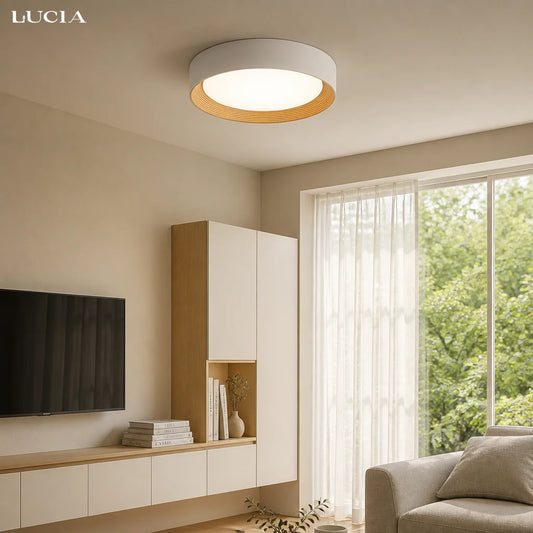 Remy Minimalist Round Flush Mount Ceiling Light