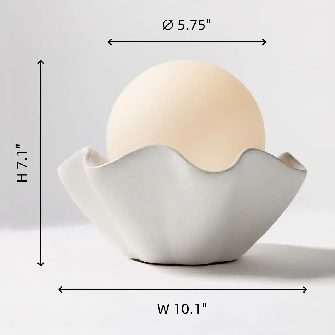 Thalassa Modern Wavy Shell Ceramic Table Light