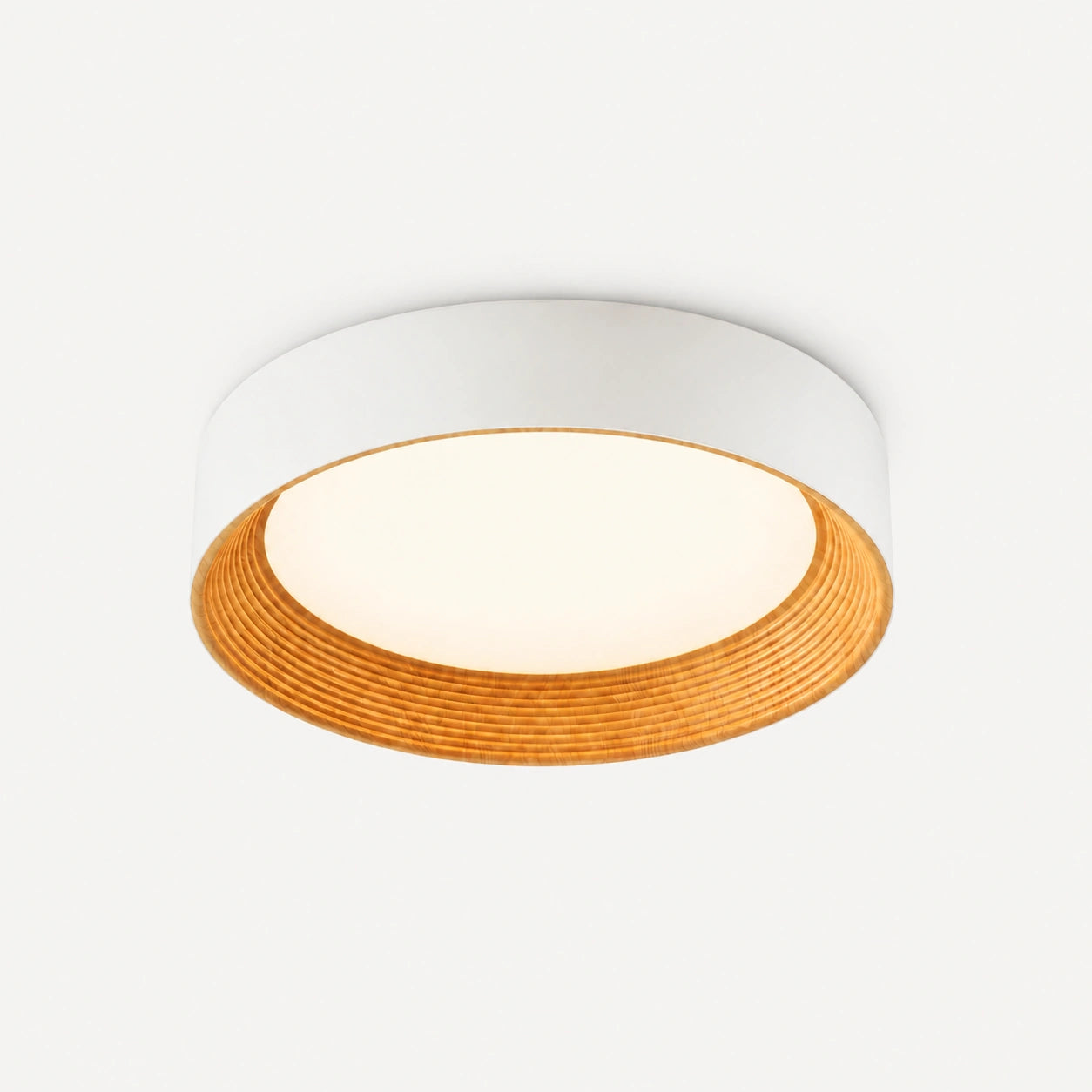 Disc Minimalist Round Flush Mount Ceiling Light